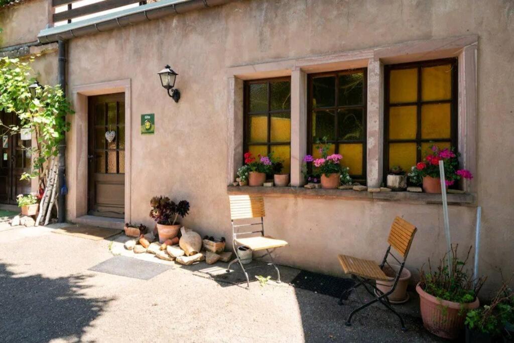 Gite L'Oeuf Ou La Poule, Parking Prive, Sur Domaine Viticole Ribeauvillé Exterior foto